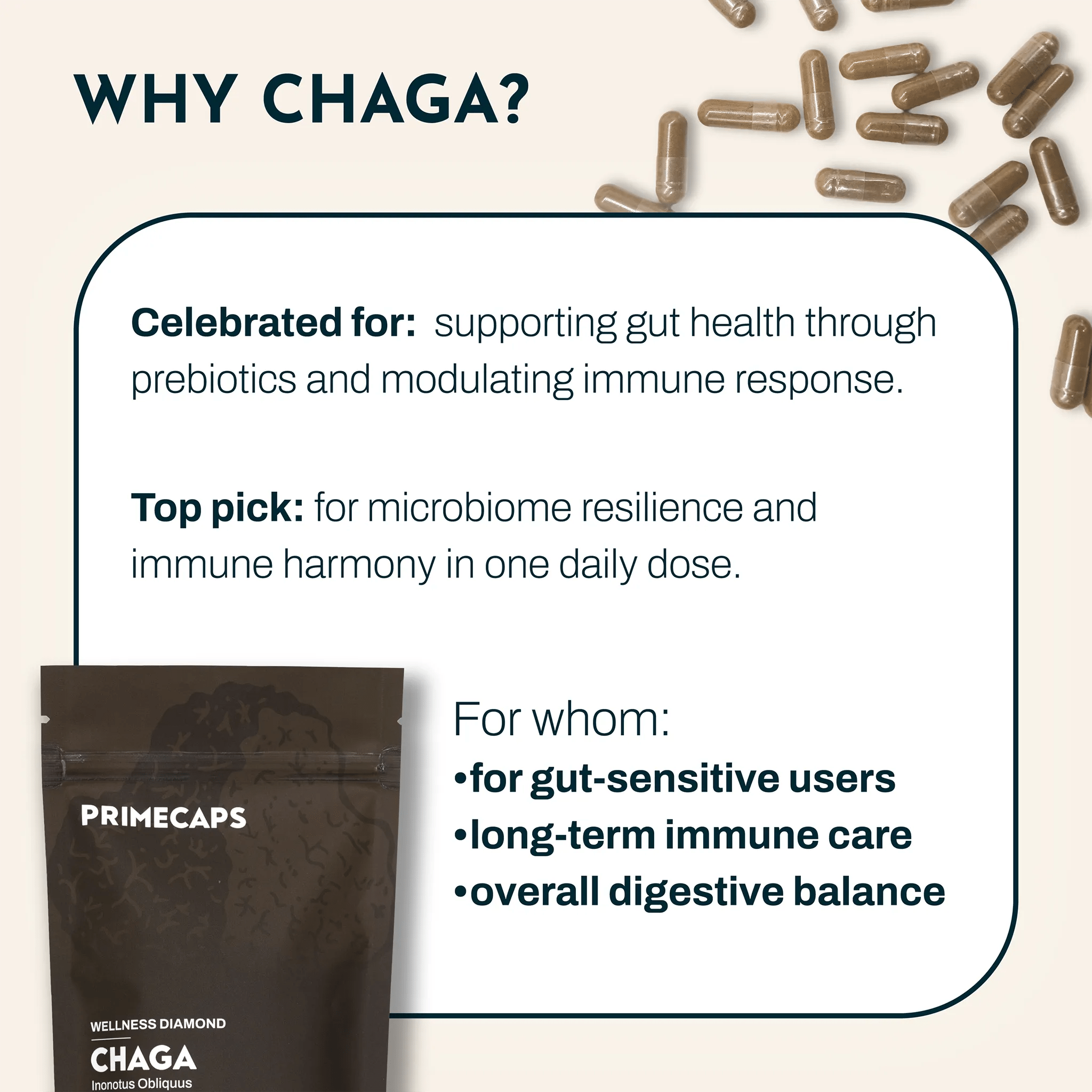 PRIMECAPS Chaga wellness mushroom with explanation of benefits and target users