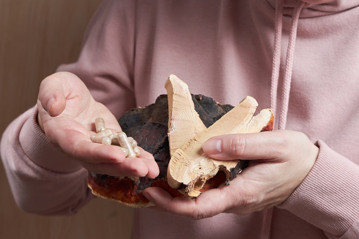 Person holding reishi mushroom (Ganoderma lucidum) slices and medicinal mushroom capsules