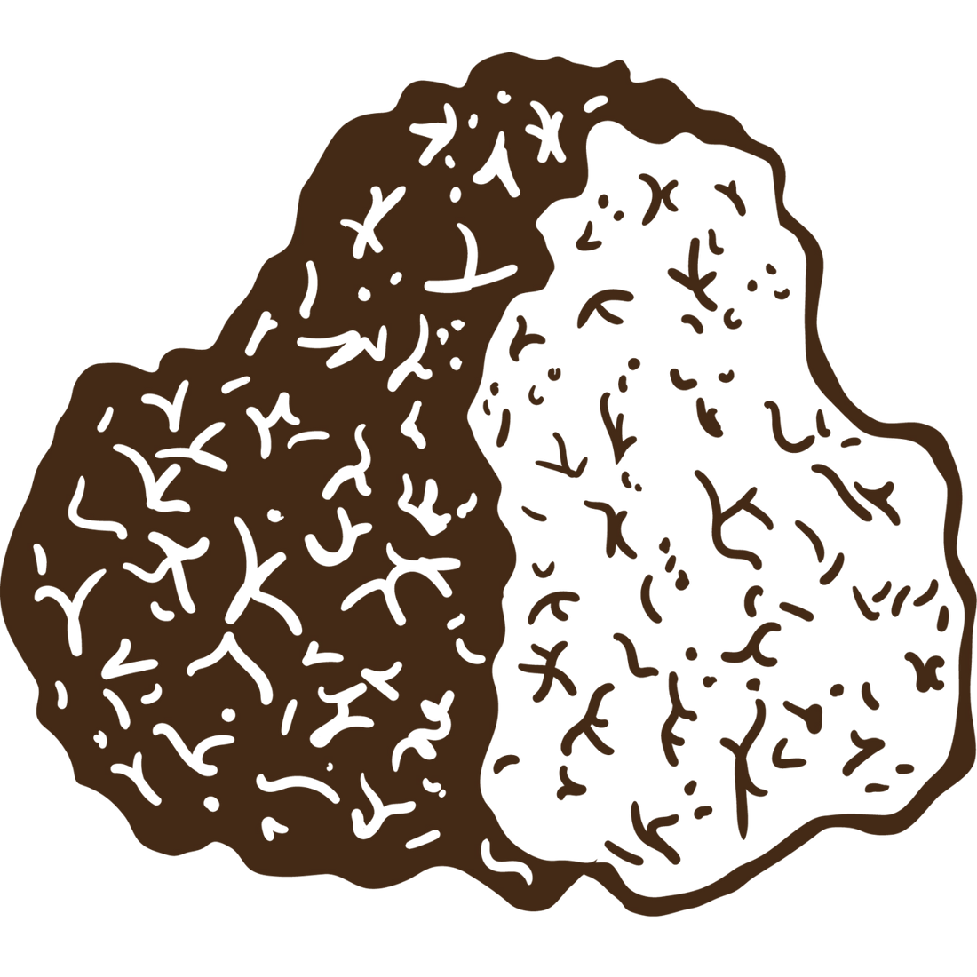 Chaga mushroom icon used in PRIMECAPS products, textured brown and cream form illustrated on a transparent background.