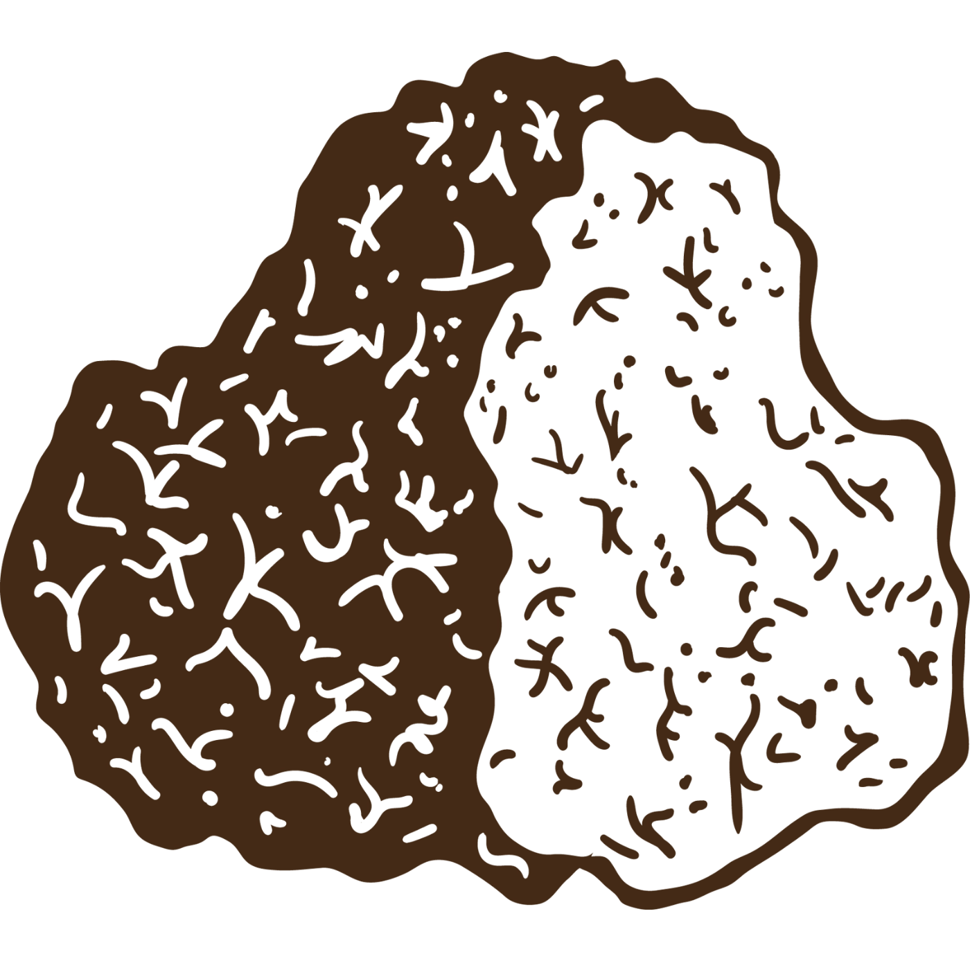 Chaga mushroom icon used in PRIMECAPS products, textured brown and cream form illustrated on a transparent background.
