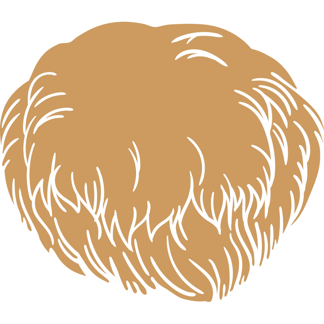 Lion’s Mane mushroom icon used in PRIMECAPS products, illustrated with soft beige lines on a transparent background.