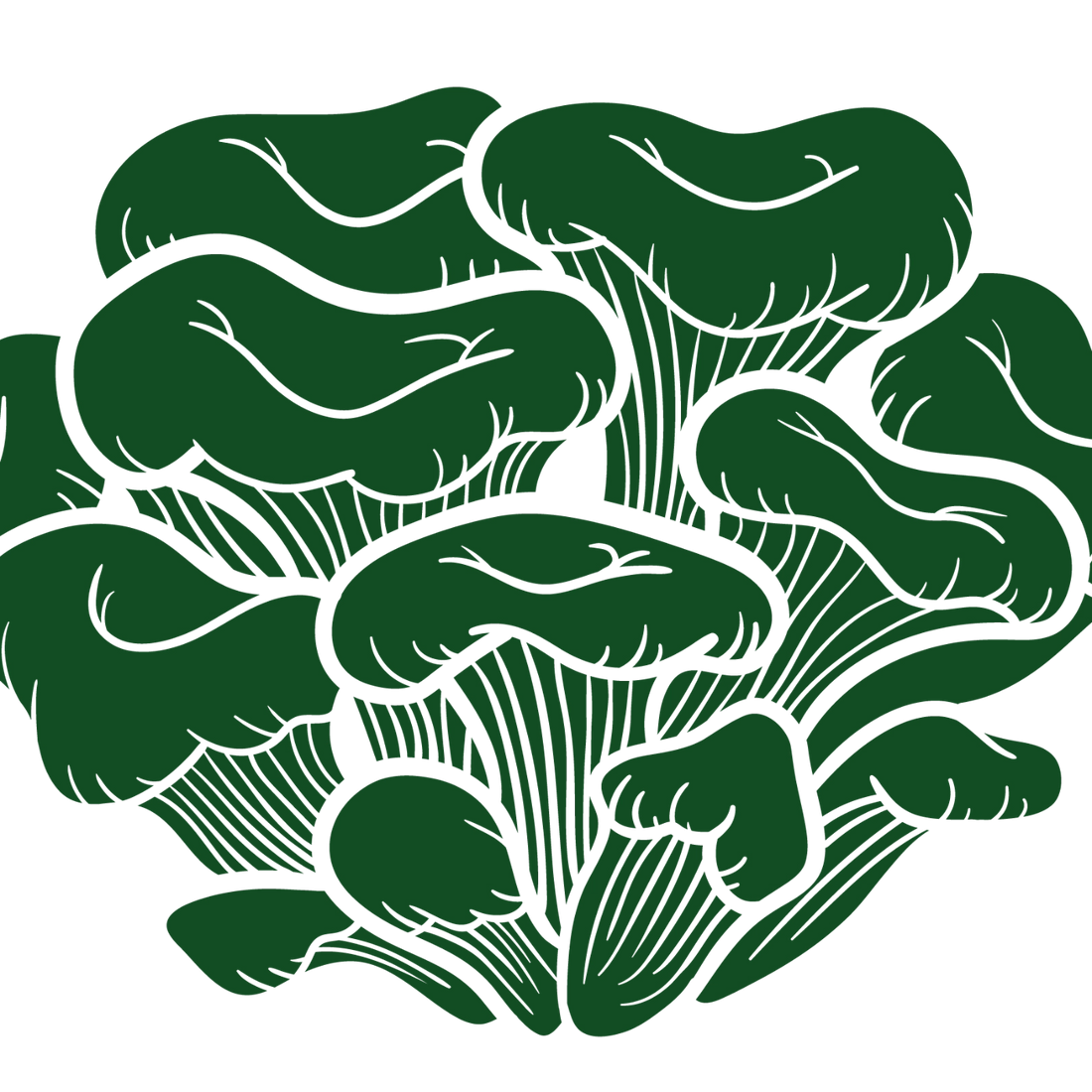 Maitake mushroom icon used in PRIMECAPS products, green layered fronds illustrated on a transparent background.