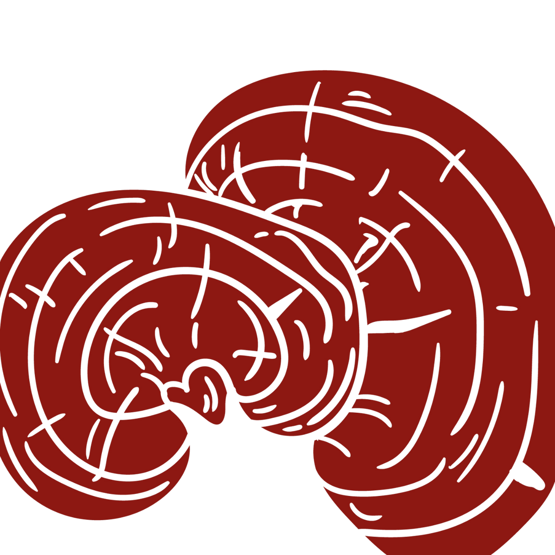 Reishi mushroom icon used in PRIMECAPS products, red illustrated fan-like shape displayed on a transparent background.