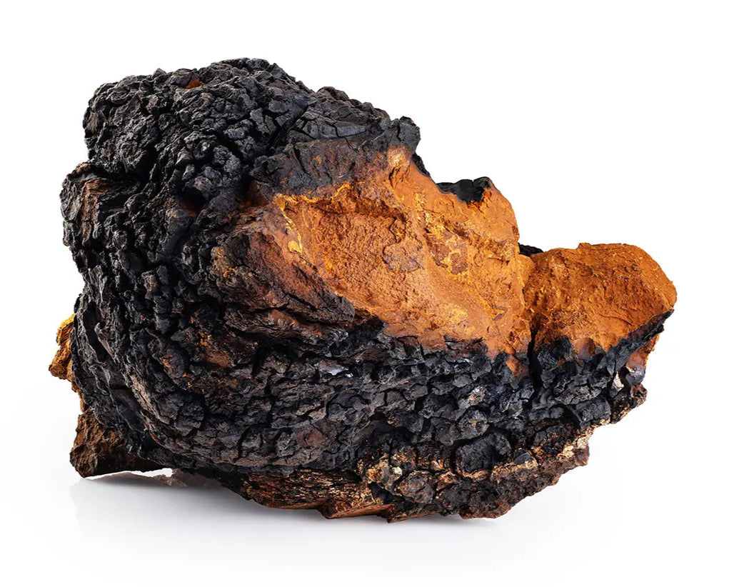 Close-up photo of Chaga, wellness diamond, laying on white backround
