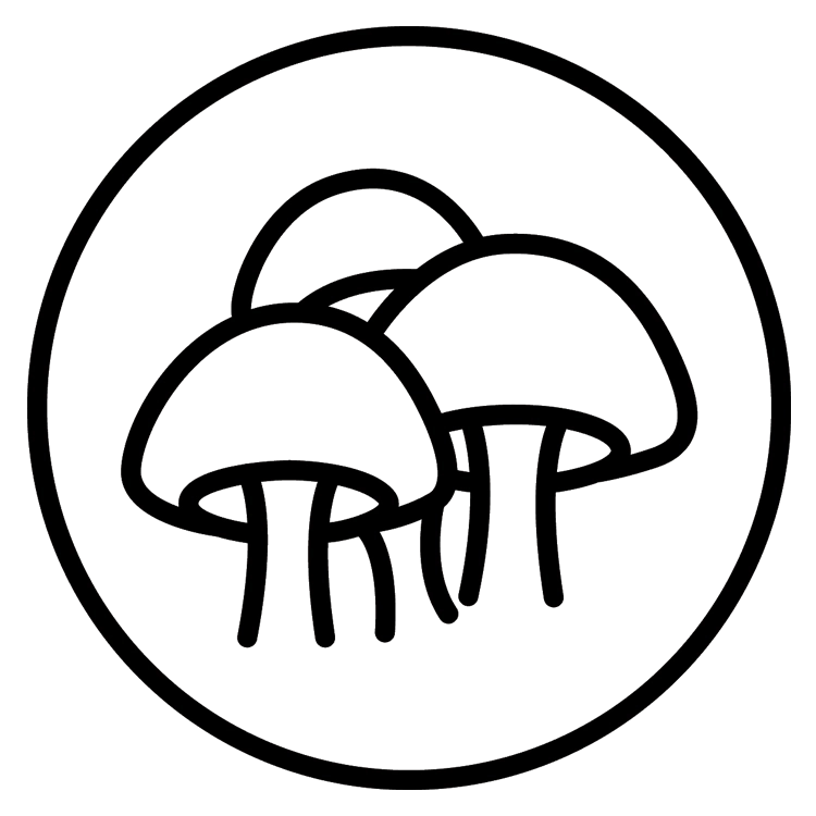 PRIMECAPS black line-art icon representing 100% fruiting body.