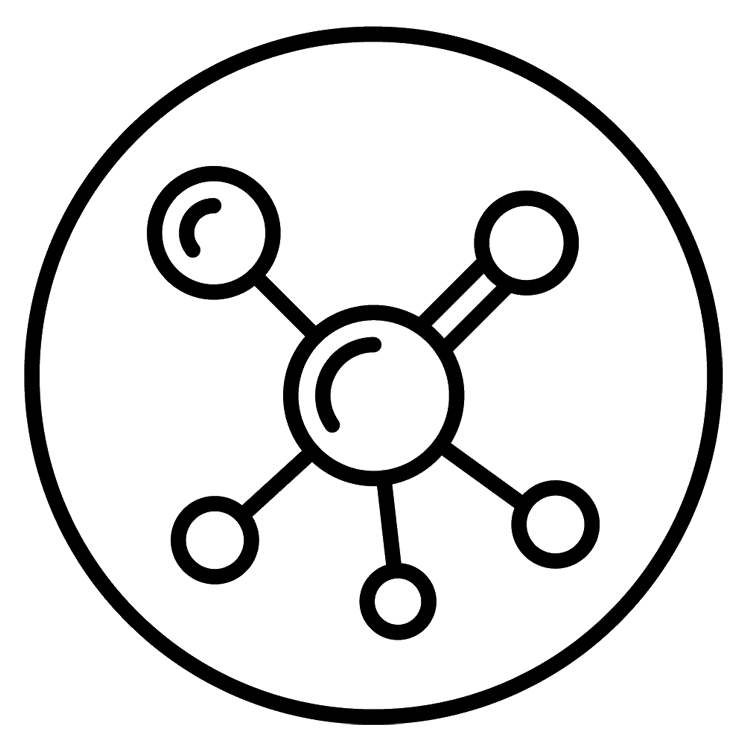 PRIMECAPS black line-art icon representing antioxidant support