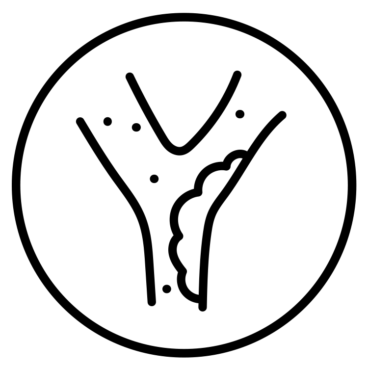 black line-art icon representing cholesterol control