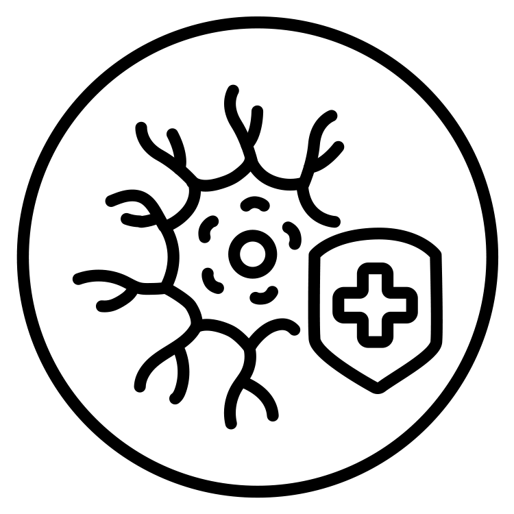 black line-art icon representing neuroprotection