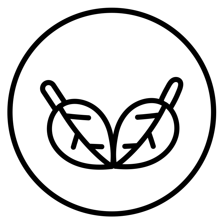 PRIMECAPS black line-art icon representing vegan-friendly formulation.